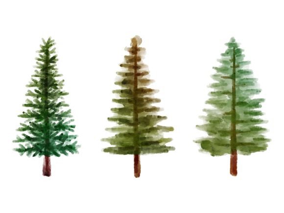 Christmas Watercolor Pine Tree: A Review for Digital Illustrations