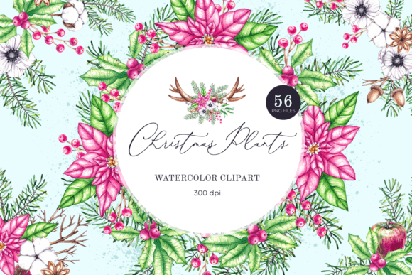 Watercolor Clipart Christmas Plants, PNG: A Review for Bloggers & Publishers